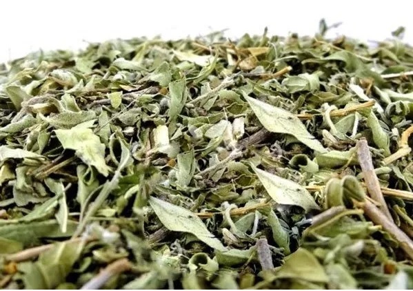 HIERBA PEPERINA TRASLASIERRA X 50 GR