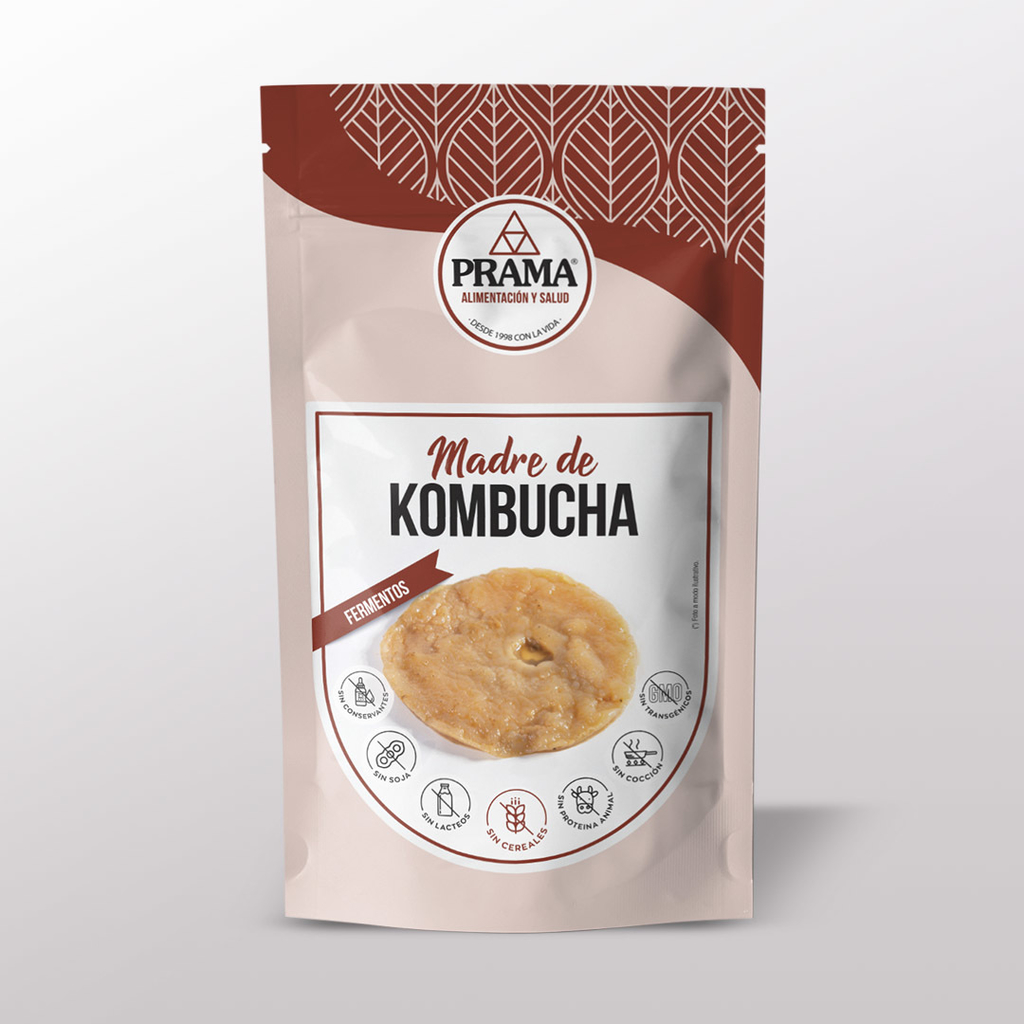 MADRE DE KOMBUCHA PARA CULTIVO