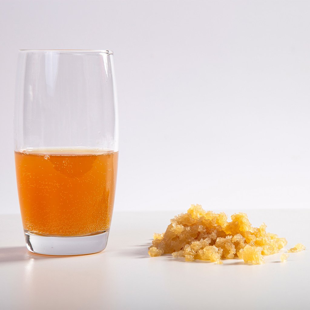 KEFIR NODULOS 