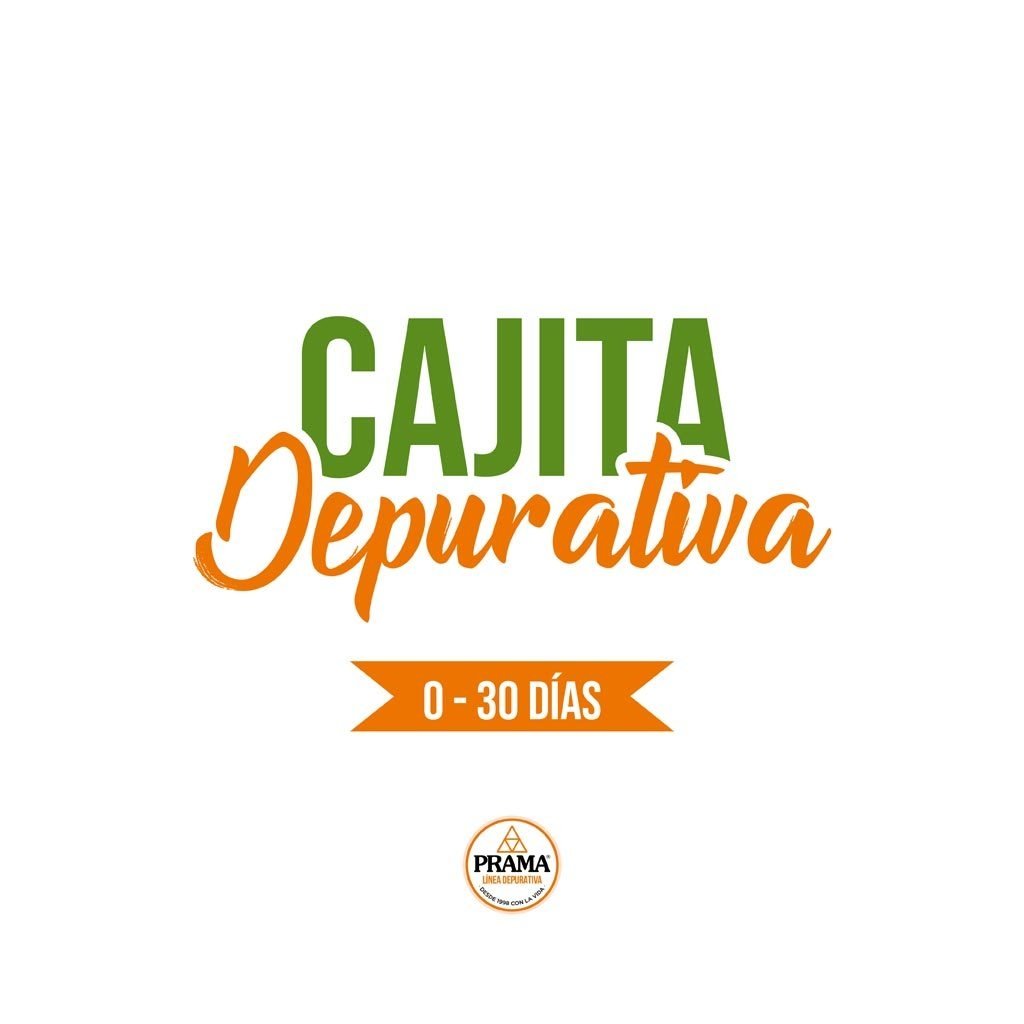 KIT DEPURATIVO PARA 30 DIAS