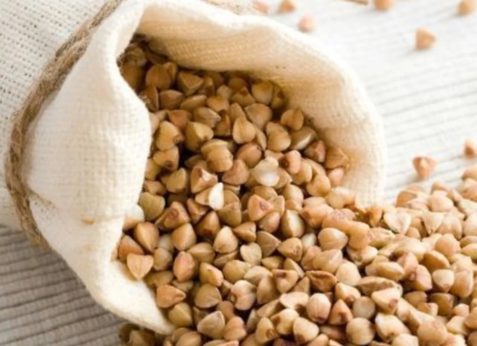 SEMILLAS DE SARRACENO (PARA BROTAR) X 250GR