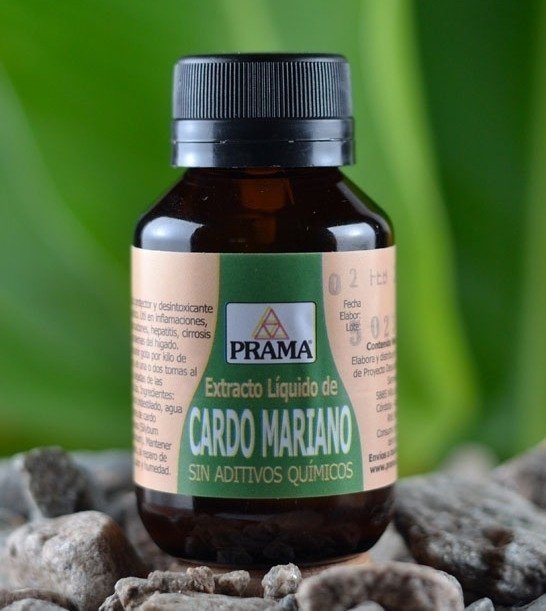 TINTURA DE CARDO MARIANO X 200CC